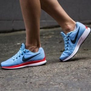 Nike Pegasus 34 Special Edition